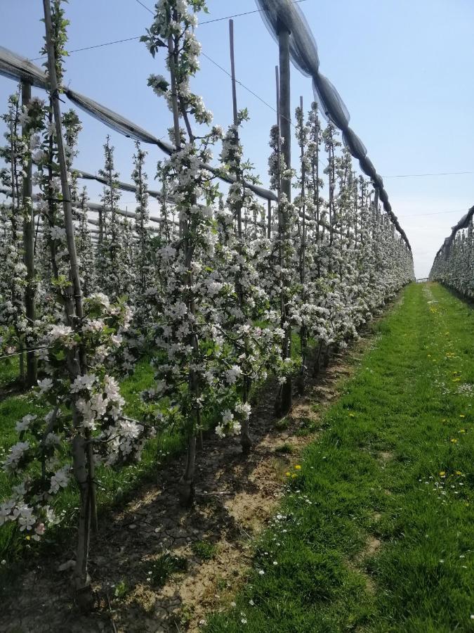 FDH Pilgerhof Keller 아파트 외부 사진